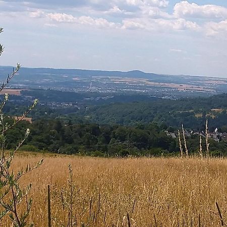 Ferienwohnung Im Naturpark Rhein-Westerwald Rengsdorf Exterior foto